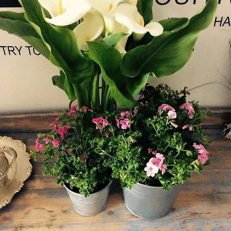 Via Dei Templi Bed and Breakfast 4*