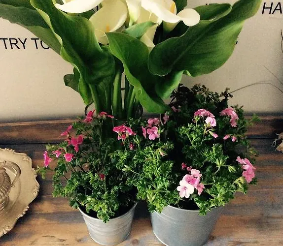 Via Dei Templi Alojamento de Acomodação e Pequeno-almoço 4*